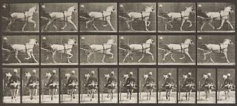 EADWEARD MUYBRIDGE (1830-1904) A selection of 4 plates representing horses from Animal Locomotion. 1887.